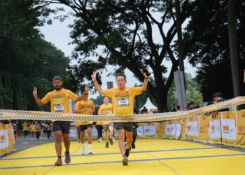 MR.D.I.Y.