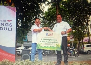 Yayasan WINGS Peduli