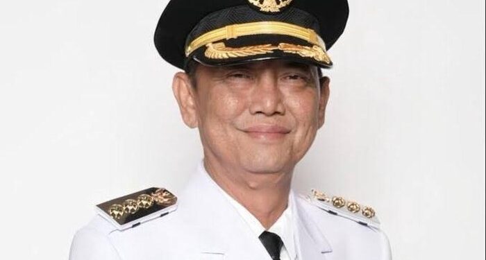 Bupati Way Kanan Ali Rahman Meninggal Dunia 1 bupati