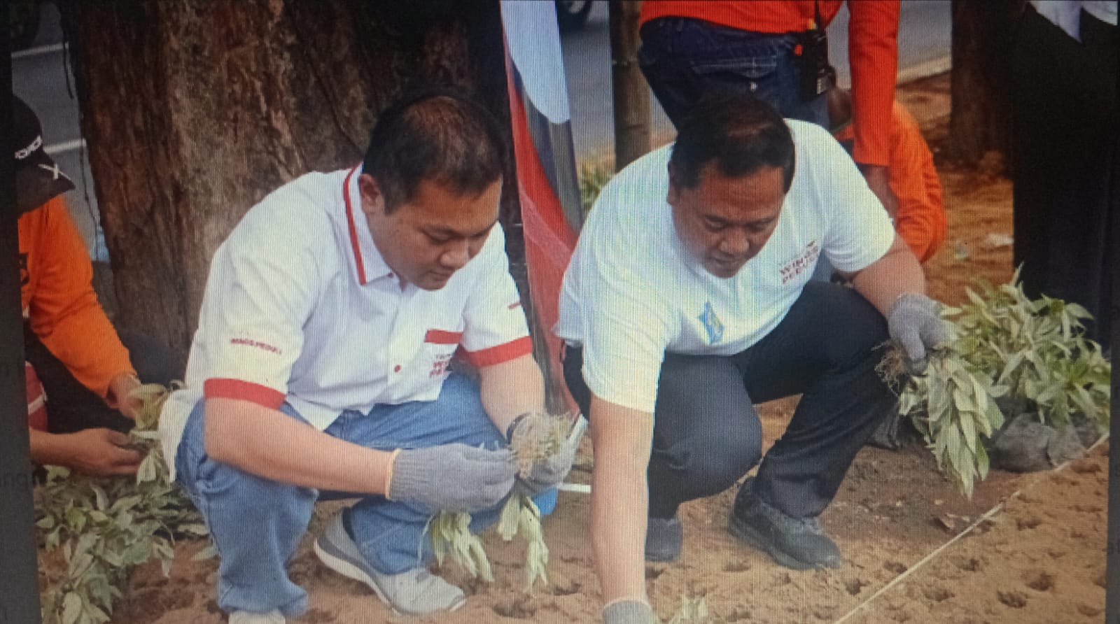 Yayasan WINGS Peduli dan Pemkot Surabaya Gelar Aksi Hijau: Hadirkan 10 Ribu Tanaman untuk Tingkatkan Kualitas Lingkungan 3 c632d383 987b 402d 8f17 c3844f851c31 - Yayasan WINGS Peduli dan Pemkot Surabaya Gelar Aksi Hijau: Hadirkan 10 Ribu Tanaman untuk Tingkatkan Kualitas Lingkungan