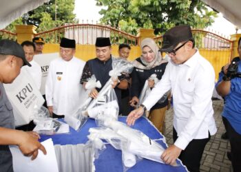 Wakil Menteri Dalam Negeri (Wamendagri)
