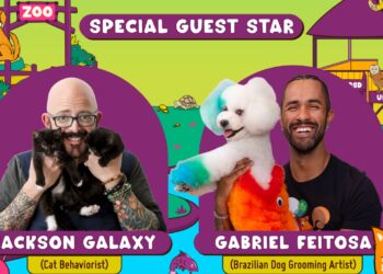 Jackson Galaxy Tampil Perdana di Indonesia, PETFEST 2025 Siap Bawa Edukasi Kucing ke Level Baru