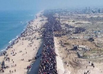 Pemerintah Konsultasikan Bantuan untuk Palestina, Tegas Tolak Relokasi Warga Gaza 1 Palestina
