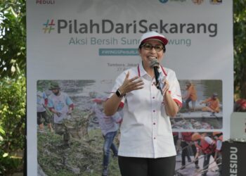 yayasan wings peduli