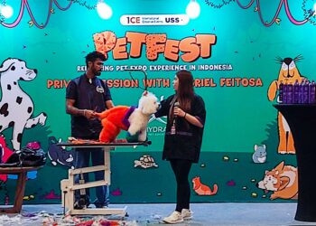 Hari Pertama PETFEST 2025 di ICE BSD Dimeriahkan Ribuan Pengunjung, Bobby Si Kucing Presiden Jadi Sorotan