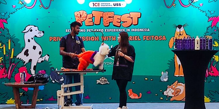 Hari Pertama PETFEST 2025 di ICE BSD Dimeriahkan Ribuan Pengunjung, Bobby Si Kucing Presiden Jadi Sorotan