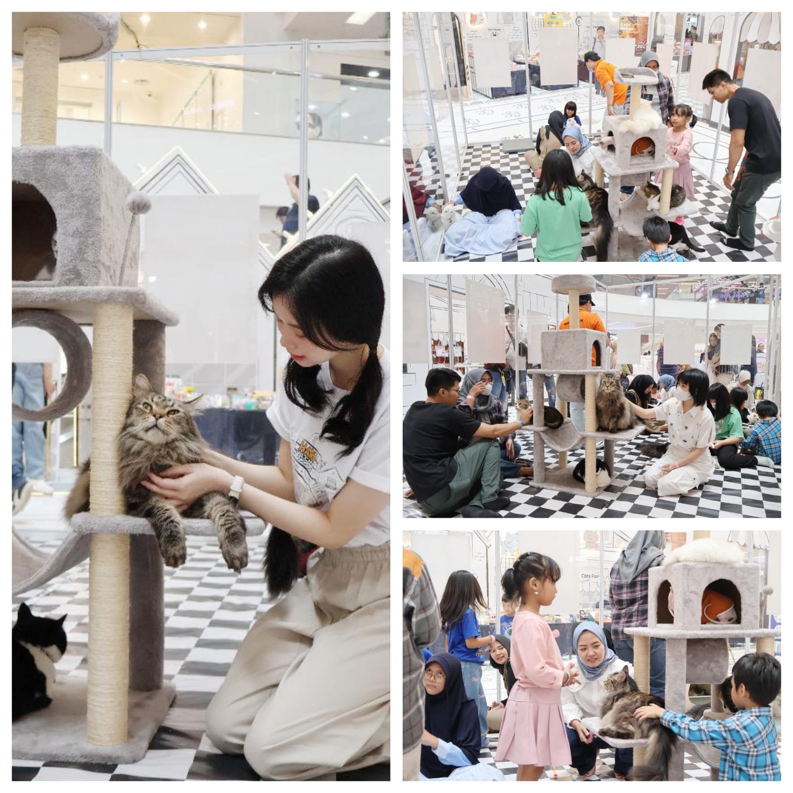 1c6a9d89 f1c1 4428 9d8c d3e1c707bfca - Mal Ciputra Jakarta Hadirkan Event Back to School “HARU VILLAGE”