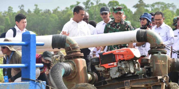 Musim Kemarau