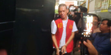 Fariz RM, Artis