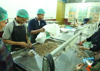 Berkat Bantuan Dana Bergulir, Koperasi Sabalam Tembus Pasar Ekspor Rempah