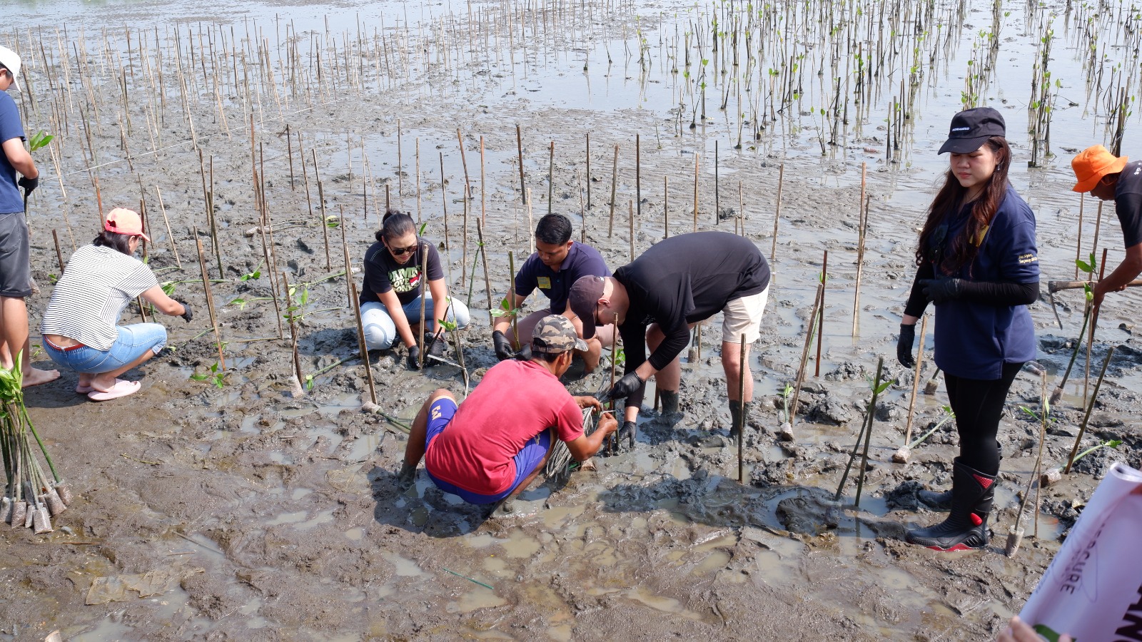 Dua Hotel Accor di Tangerang Gelar Aksi Lingkungan: Mangrove Plantation & Beach Clean-Up di Desa Margamulya 3 f5cc19d1 ca79 4e8f a001 814777cd5875 1 - Dua Hotel Accor di Tangerang Gelar Aksi Lingkungan: Mangrove Plantation & Beach Clean-Up di Desa Margamulya