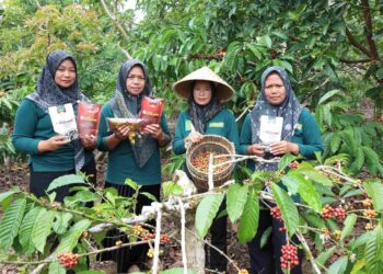 LPDB Inginkan Koperasi Naik Kelas Melalui Lembaga Inkubator Daerah