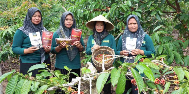 LPDB Inginkan Koperasi Naik Kelas Melalui Lembaga Inkubator Daerah