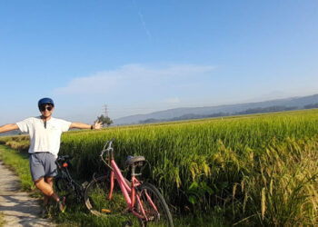 Wonosobo, wisata