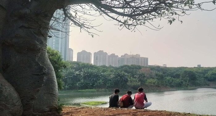 taman