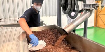 kopi