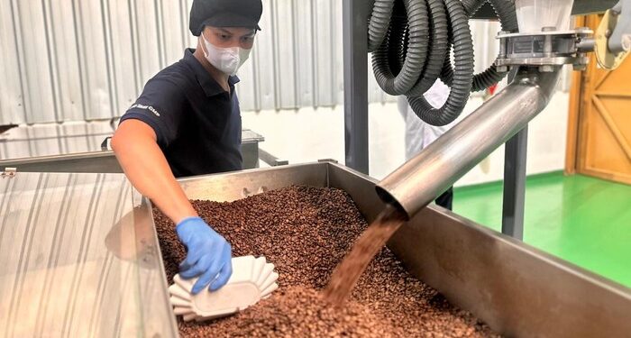 kopi