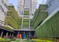 Binus