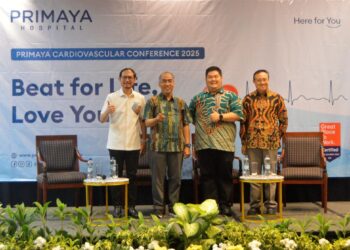 Primaya Hospital Group