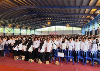Lapangan Kerja Baru