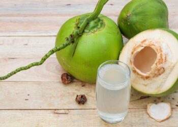 air kelapa
