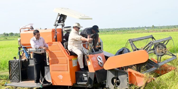 Hilirisasi Komoditas Pertanian