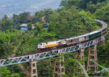 Jalur Kereta Api