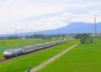 Argo Muria New Generation