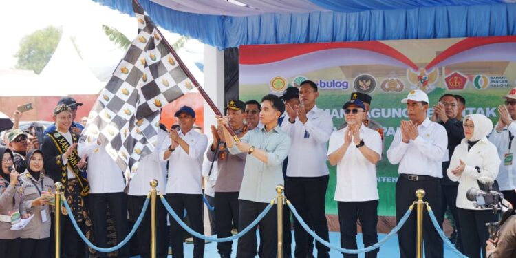 Polri Tanam Jagung Serentak di 3.800 Hektar Lahan, Wapres Gibran: Wujud Nyata Dukung Swasembada Pangan 1 Polri