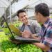27 Ribu Anak Muda Kini Jadi Petani dengan Penghasilan Rp15–20 Juta per Bulan 8 petani