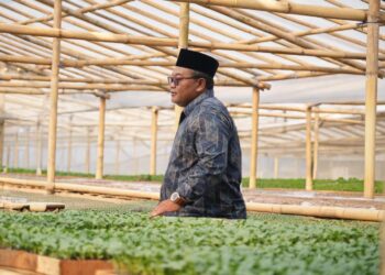 ULaMM Syariah Dorong Ekonomi Kerakyatan, dari Pembiayaan Halal hingga Ekosistem Usaha Berkelanjutan