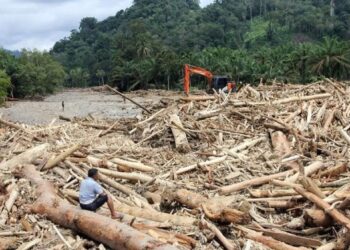 Bareskrim Polri Selidiki Dugaan Pembalakan Liar di Sumatera Usai Banjir Bandang 1 Pembalakan Liar