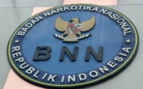 BNN dan BKN Perkuat Ketahanan Aparatur Negara dari Ancaman Narkoba