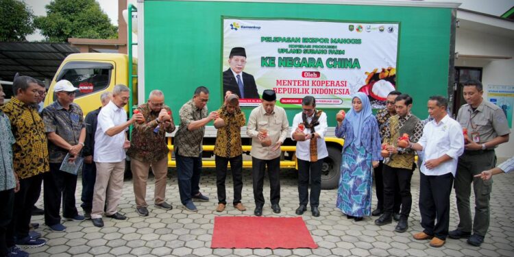 Subang Ekspor 3 Ton Manggis ke China, LPDB Koperasi Siap Perkuat Pembiayaan Hingga Rp20 Miliar