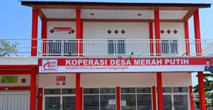 Koperasi Desa Perkuat Ekonomi Lokal, Keuntungan Kembali ke Desa 1 Koperasi Desa Perkuat Ekonomi Lokal, Keuntungan Kembali ke Desa