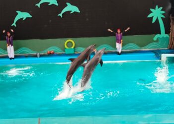 OCEAN DREAM SAMUDRA ANCOL