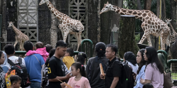 Wisata