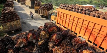Tarif Pungutan Ekspor Sawit Resmi Naik, CPO Kini 12,5 Persen