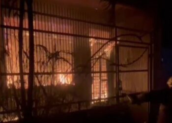 Kebakaran Rumah di Grogol Petamburan Diduga Akibat Percikan Listrik, Satu Keluarga Tewas