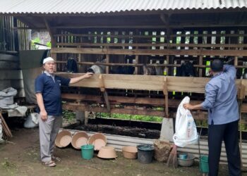 EMBRIO KEWIRAUSAHAAN: Kamawi Farm berdiri di atas lahan seluas 5.000 meter persegi di Desa Binangun, Kroya, Cilacap, Jawa Tengah. (Foto: Dok/PP IKAPMAWI)
