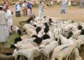 Pengertian Dam Haji, Jenis, dan Ketentuannya dalam Ibadah Haji