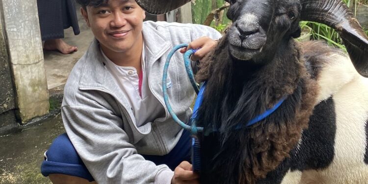 Gagal Masuk Kampus Impian, Gen Z di Bekasi Pilih Jadi Peternak Kambing 1 Gagal Masuk Kampus Impian, Gen Z di Bekasi Pilih Jadi Peternak Kambing