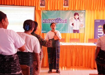 Sinergi PNM dan KPPPA: Mengubah Pala Ngada Menjadi Motor Ekonomi Perempuan NTT