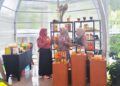 ​Strategi PNM Mekaarpreneur, Kunci Sukses Usaha Ultra Mikro Naik Kelas, Bukan Cuma Modal!