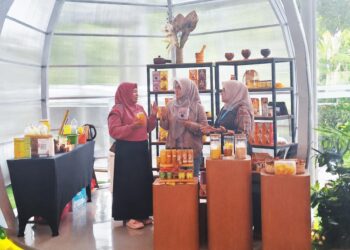 ​Strategi PNM Mekaarpreneur, Kunci Sukses Usaha Ultra Mikro Naik Kelas, Bukan Cuma Modal!