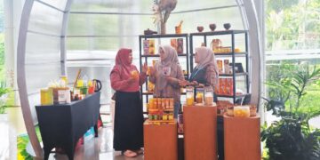 ​Strategi PNM Mekaarpreneur, Kunci Sukses Usaha Ultra Mikro Naik Kelas, Bukan Cuma Modal!