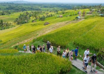 DESTINASI WISATA: Sejumlah pelancong mancanegara menyusuri area pertanian di Penebel, Jatiluwih, Tabanan, Bali. (Foto: Dok./antaranews.com)