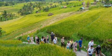 DESTINASI WISATA: Sejumlah pelancong mancanegara menyusuri area pertanian di Penebel, Jatiluwih, Tabanan, Bali. (Foto: Dok./antaranews.com)