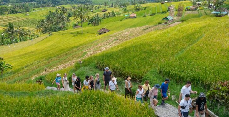 DESTINASI WISATA: Sejumlah pelancong mancanegara menyusuri area pertanian di Penebel, Jatiluwih, Tabanan, Bali. (Foto: Dok./antaranews.com)