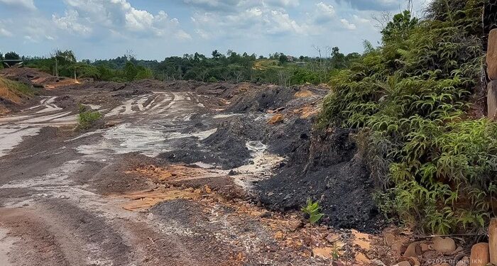 Otorita IKN Perketat Penindakan Aktivitas Ilegal di Kawasan Nusantara